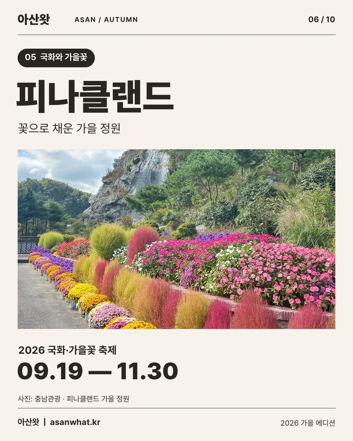 피나클랜드 카드뉴스. 2026 국화·가을꽃 축제 9월 19일부터 11월 30일까지