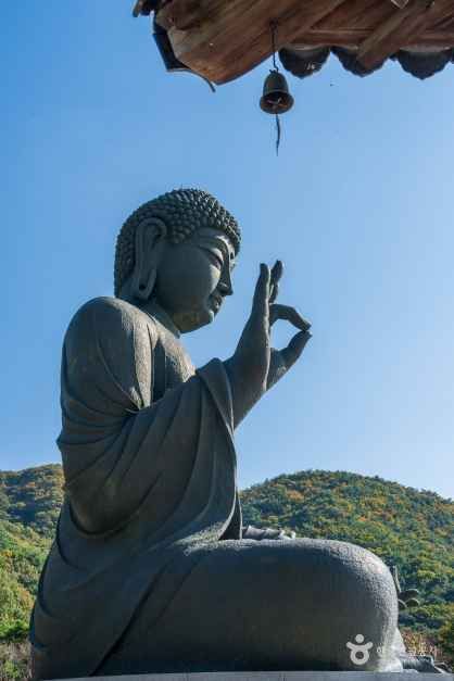 처마 아래에서 바라본 청동대불 측면 · 자료사진
