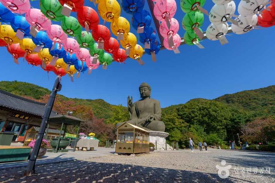 연등 아래로 바라본 각원사 청동대불 · 자료사진