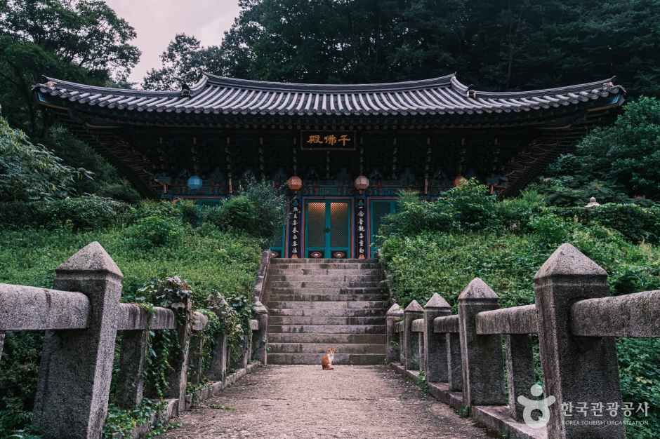 나무에 둘러싸인 광덕사 전각과 입구로 이어지는 돌계단 · 자료사진