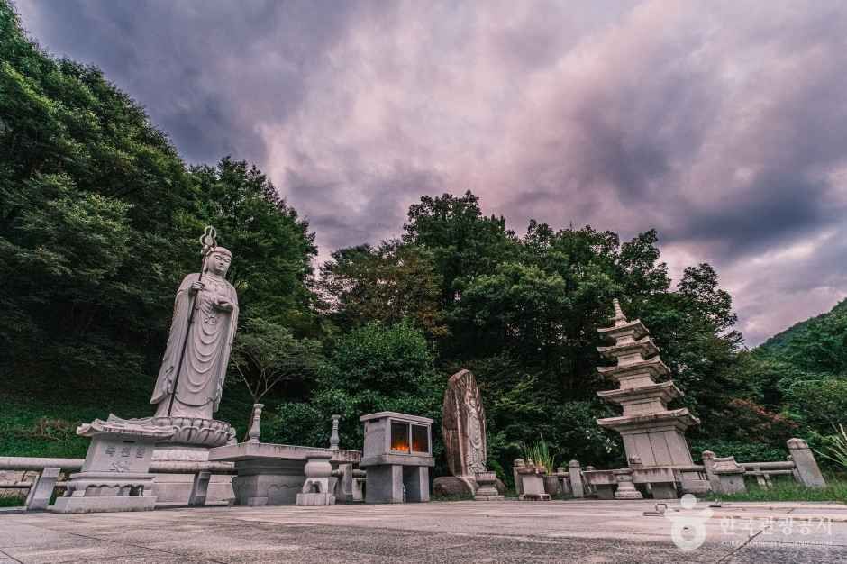 광덕사 야외 공간의 불상과 석탑 · 자료사진