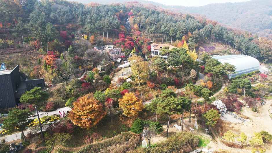 나무와 산책길이 어우러진 화수목 정원의 항공 전경 · 자료사진
