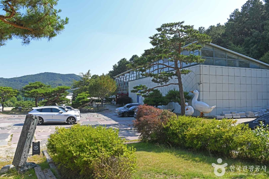 미술관 건물 측면과 앞마당에 주차된 차량들 · 자료사진