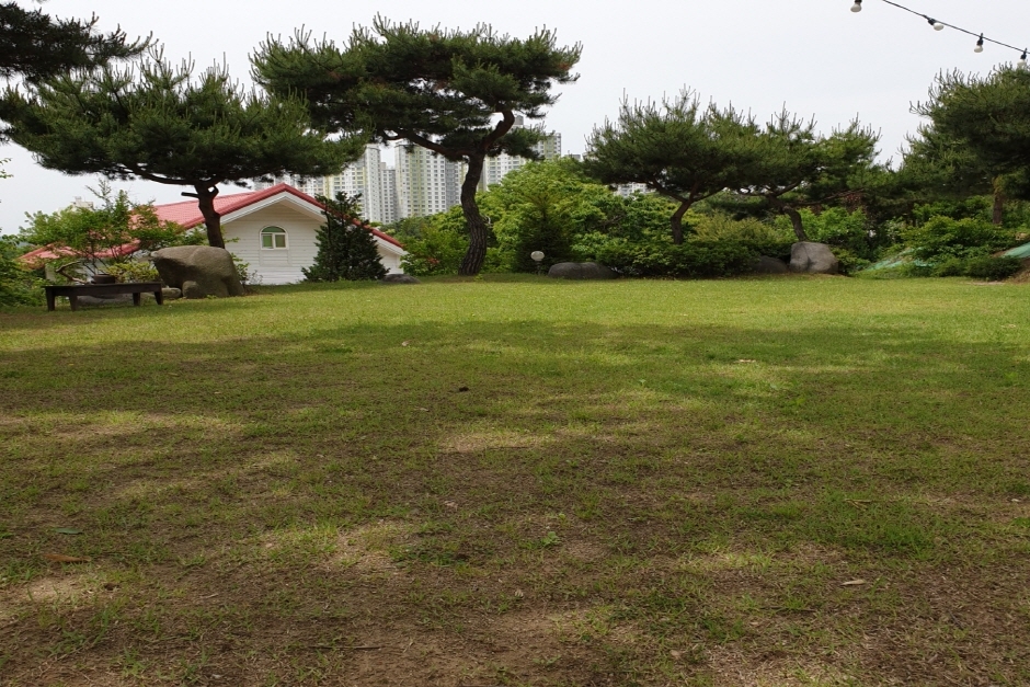 소나무와 정원수가 둘러선 누리마루숲 잔디 공간 · 자료사진