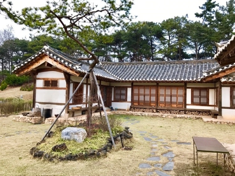 소나무와 디딤돌이 있는 마당 너머로 보이는 기와 한옥 · 자료사진