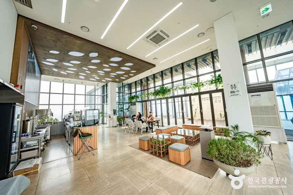 카운터와 식물, 여러 형태의 좌석이 함께 보이는 천안타운홀 카페 내부 · 자료사진