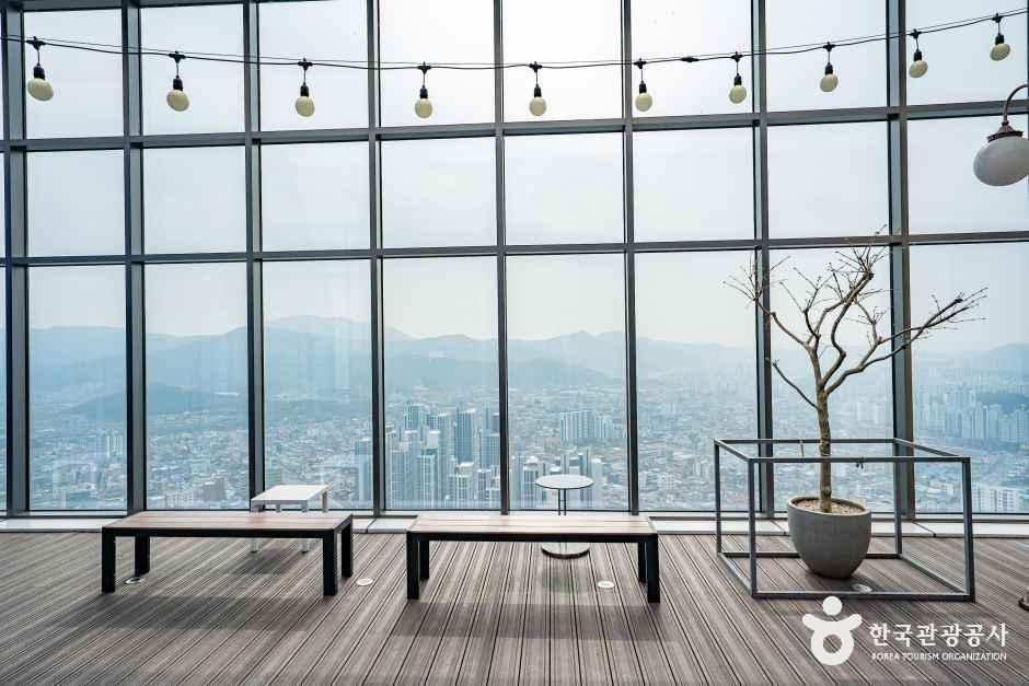 타운홀 테라스의 목재 바닥과 벤치, 유리벽 너머 도심 · 자료사진